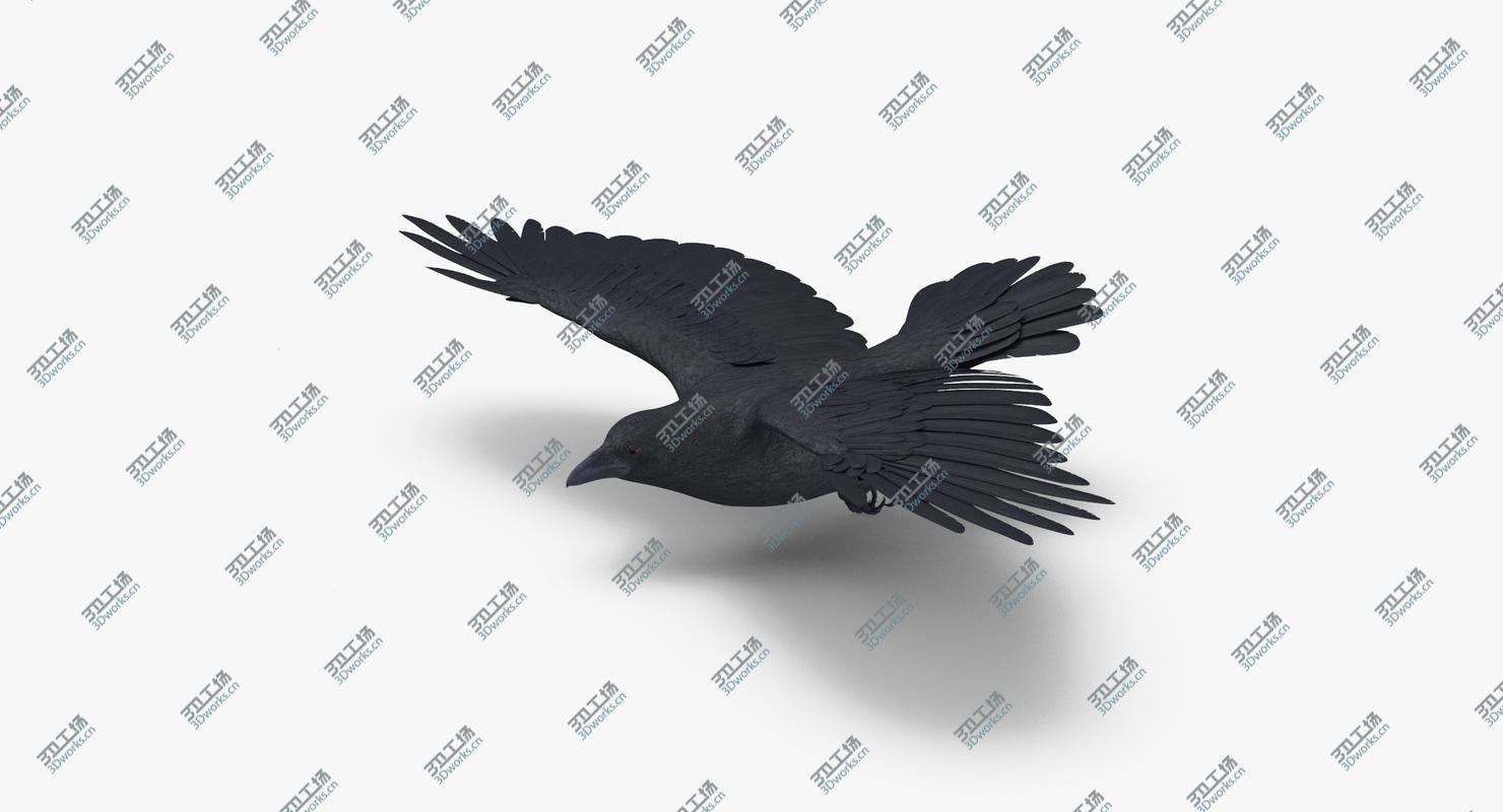 images/goods_img/2021040234/Crow 03/4.jpg